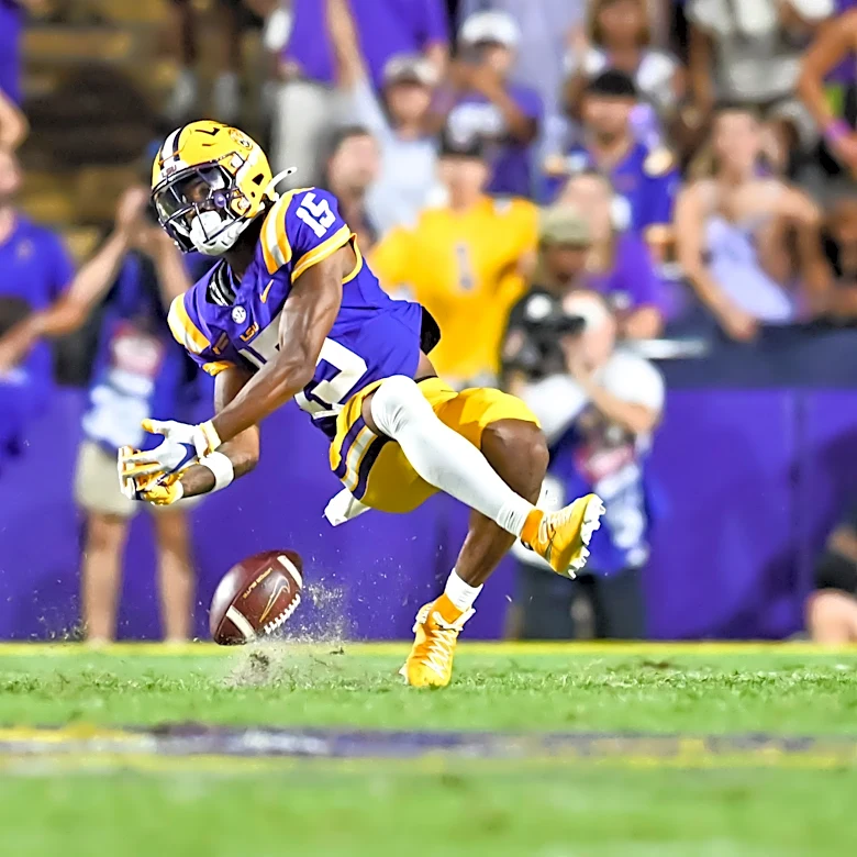 LSU football loses wide receiver to season ending injury