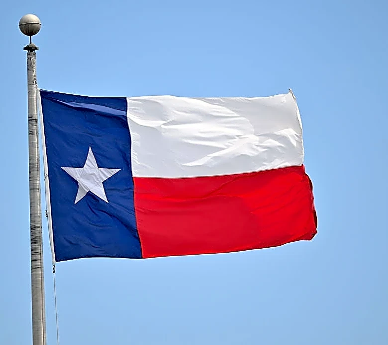 Bridges Texas History explores 'Father of American Psychiatry'