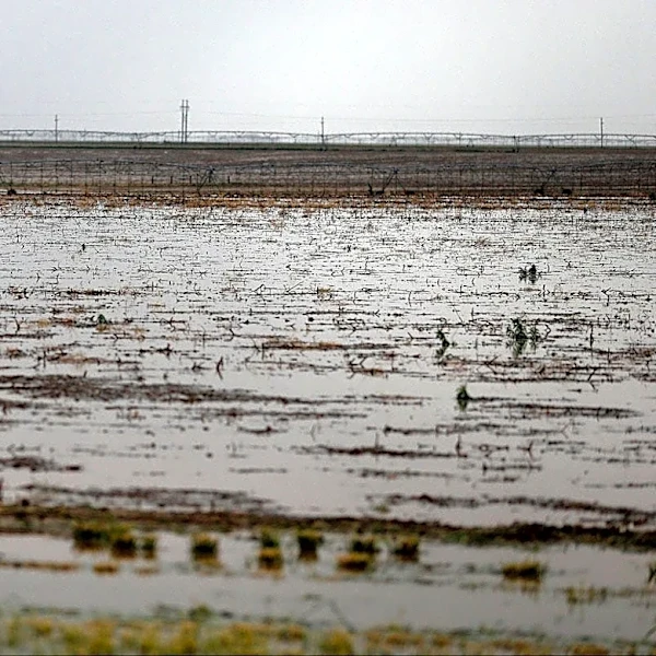 Lubbock, West Texas under flood watch as storms move through area