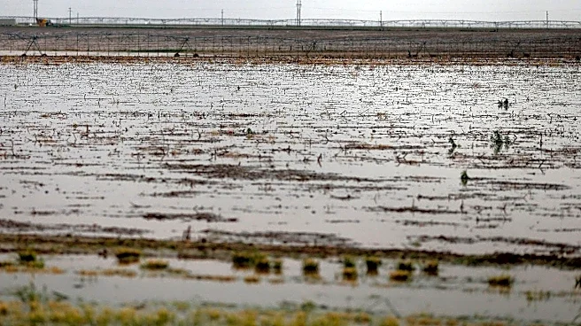 Lubbock, West Texas under flood watch as storms move through area