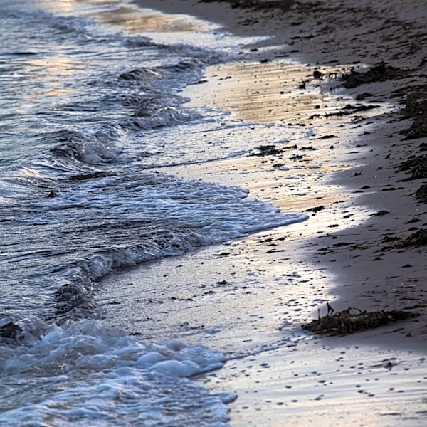 Letter writer responds to Sen. Perry column on Texas' water needs