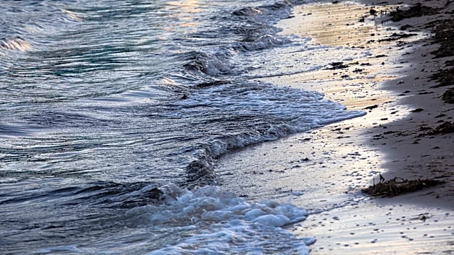 Letter writer responds to Sen. Perry column on Texas' water needs