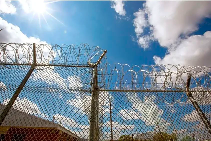 Texas Department of Criminal Justice launches book portal program