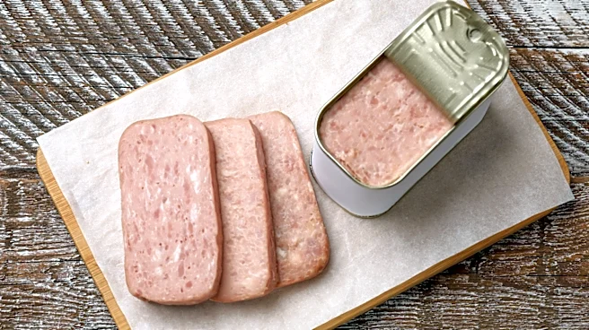 10 Ways To Make Spam Taste Gourmet, According To A Spam Chef