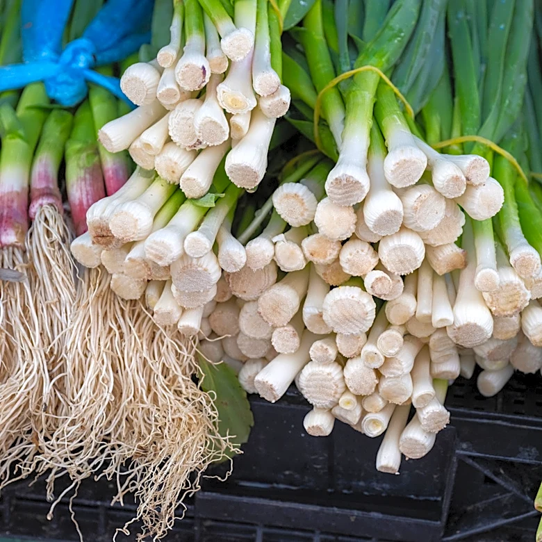 Scallions Vs Garlic Scapes: How Big Of A Difference Is There?