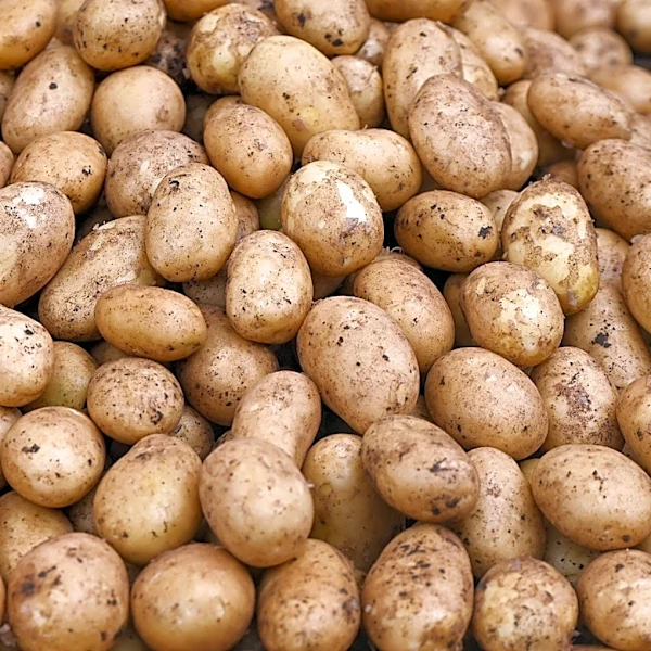 You Should Never Store Potatoes In The Fridge. Here's Why