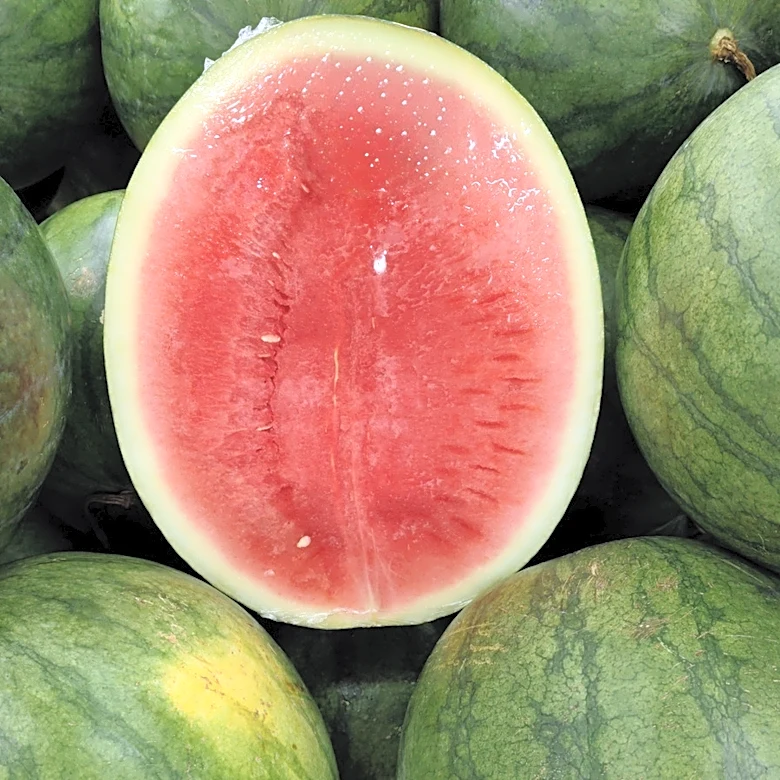 Are Seedless Watermelons Sweeter Than Other Varieties?