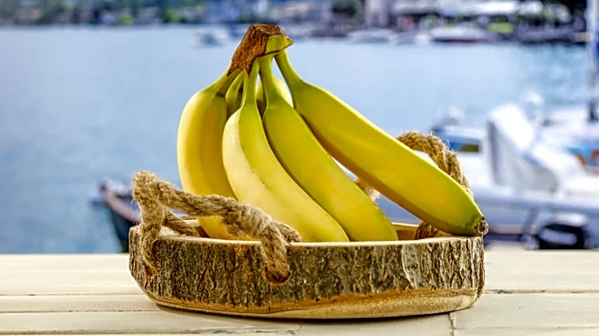 Why Are Bananas Considered Bad Luck At Sea?