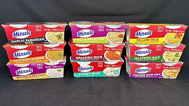 9 Minute Rice Cup Flavors, Ranked