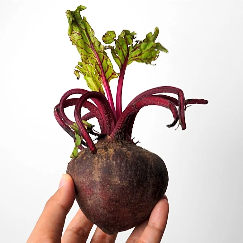 Should You Eat Sprouted Beets?