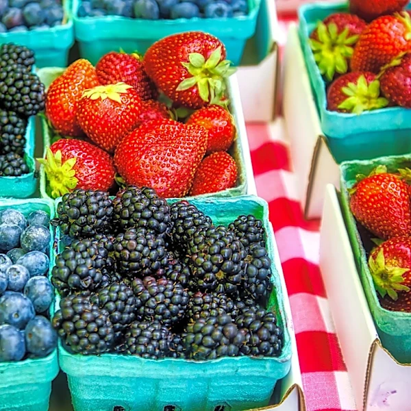 Does One Moldy Berry Ruin The Bunch?