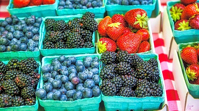 Does One Moldy Berry Ruin The Bunch?