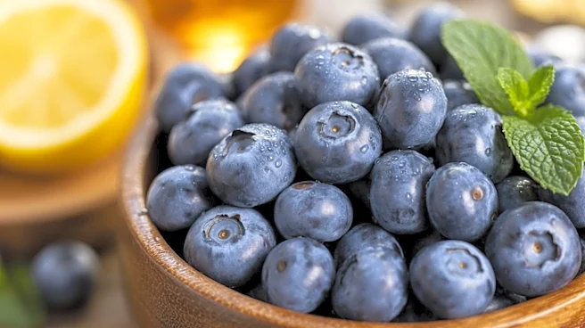 Are Bigger Blueberries Always Better?