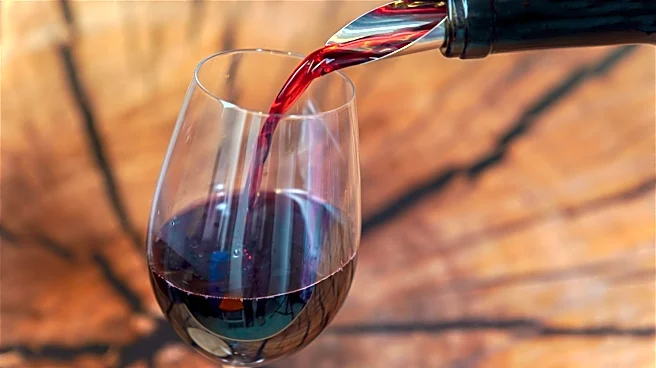 Why Pinot Noir Wine Often Costs More Than Other Bottles