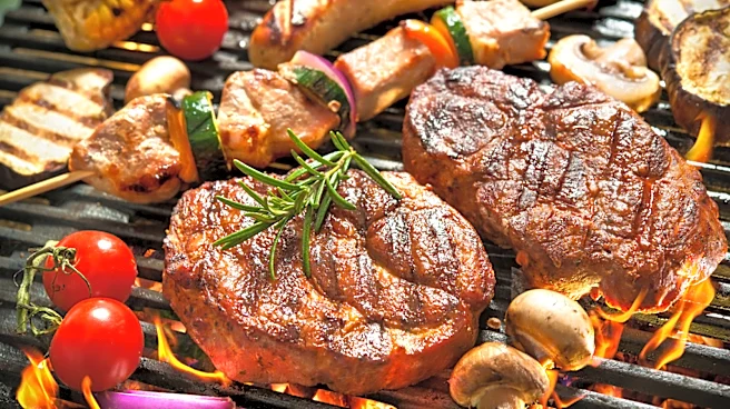 This Grill-Ready Meat Bundle Is One Of The Best New Aldi Finds In June 2026