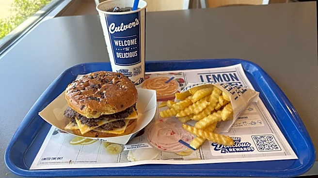Who Owns Culver's?