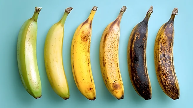 3 Reasons Leftover Banana Peels Belong In Your Garden