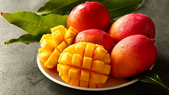 How To Know If A Mango Has Spoiled