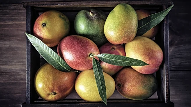 Don't Judge A Mango By Its Color; Try This Instead
