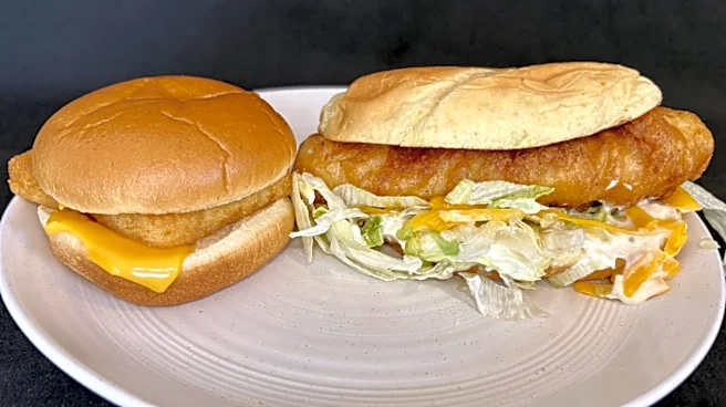 Culver's North Atlantic Cod Fish Sandwich Vs McDonald's Filet-O-Fish: Who Makes The Better Fish Sandwich?