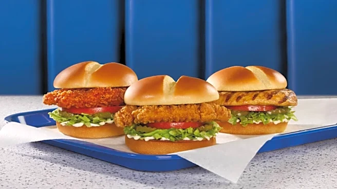 4 Ordering Tips To Get The Best Culver's Chicken Sandwich