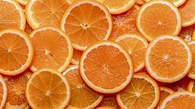 You're Missing Out If You're Not Putting Orange Slices In Your Air Fryer