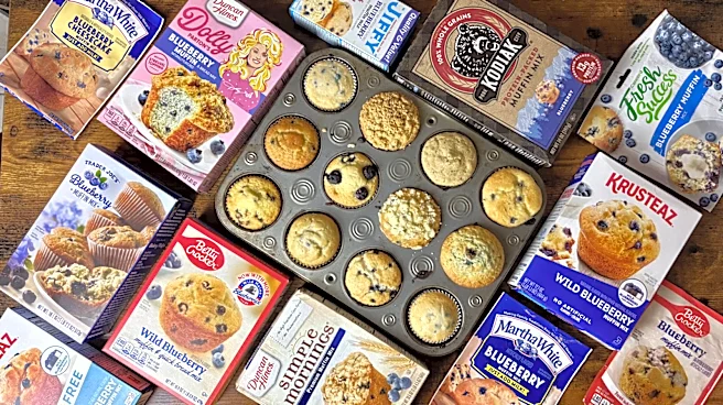The Best Grocery Store Blueberry Muffin Mix, Hands Down