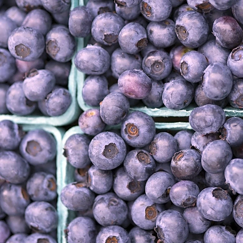 This Fresh Blueberry Myth Isn't Actually True