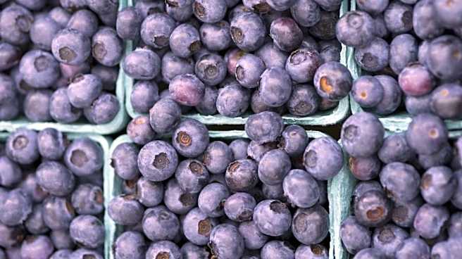 This Fresh Blueberry Myth Isn't Actually True