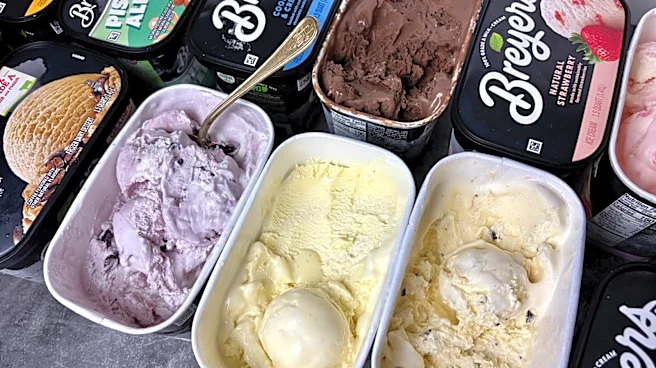 We Tried 14 Breyers Ice Cream Flavors; This Was The Best Hands Down