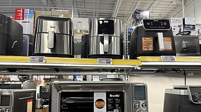 Consumer Reports Tested Over 80 Air Fryers; This Compact Model Came Out On Top