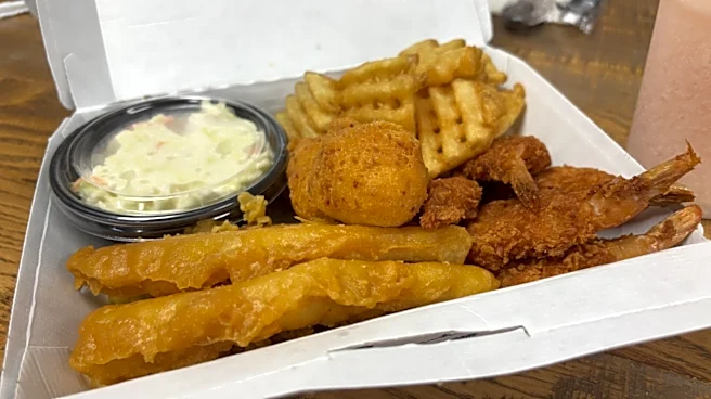 Review: Long John Silver's New Menu Items Are Worth Checking Out, So Long As You Aren't Craving Seafood
