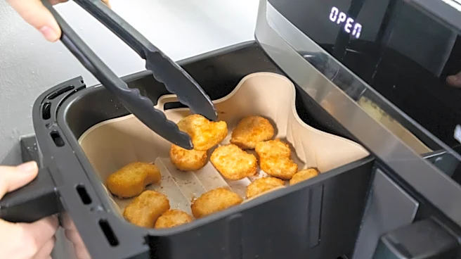 5 Disadvantages Of Using An Air Fryer