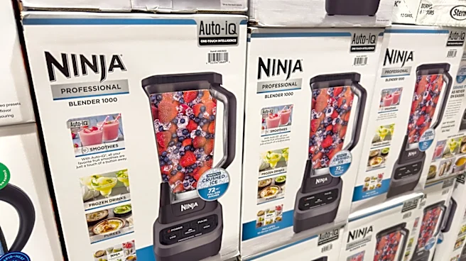 What Is The Typical Lifespan Of A Ninja Blender?