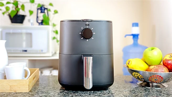Are Air Fryers The Most Overrated Kitchen Appliance? Not Exactly