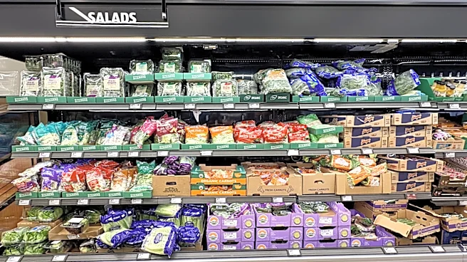 Who Makes Aldi's Salad Kits?