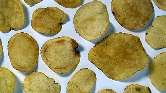 The Popular Chip Brand That's Owned By PepsiCo