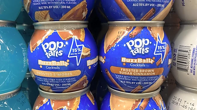 Review: BuzzBalls Teamed Up With Pop-Tarts And Worlds Are Colliding In The Best Way Possible