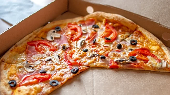 Why You Should Reheat Pizza In Your Air Fryer