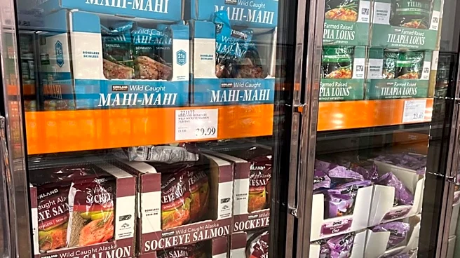 One Of Costco's Best New Kirkland Signature Items Of 2026 Is In The Freezer Aisle