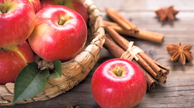 Trader Joe's Customers Are Calling This Apple-Cinnamon Treat A Seasonal Favorite