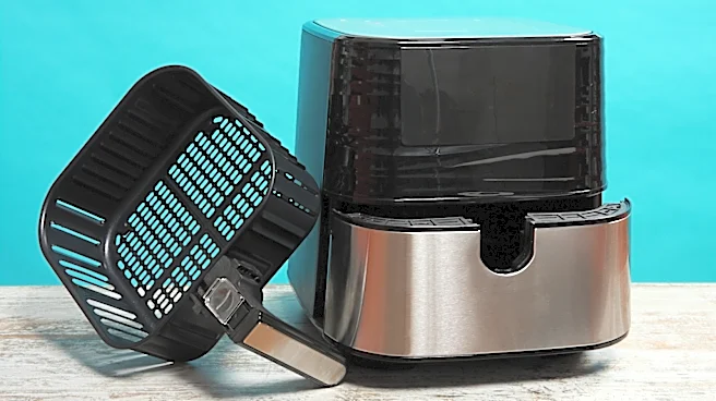 4 Disadvantages Of Basket-Style Air Fryers