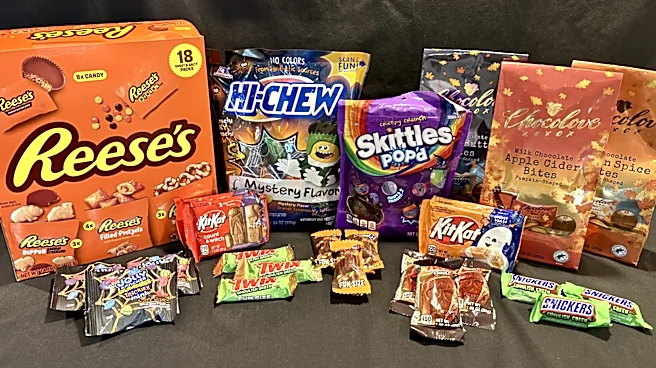 The Best New Halloween Candy To Try In 2026