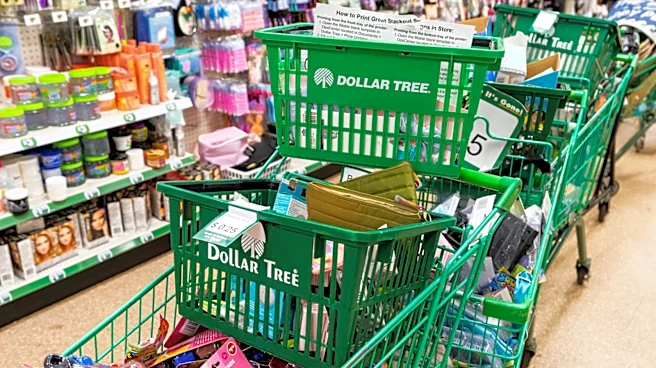 This Is The Best-Rated Dollar Tree Kitchen Find Perfect For The 2026 Holiday Season