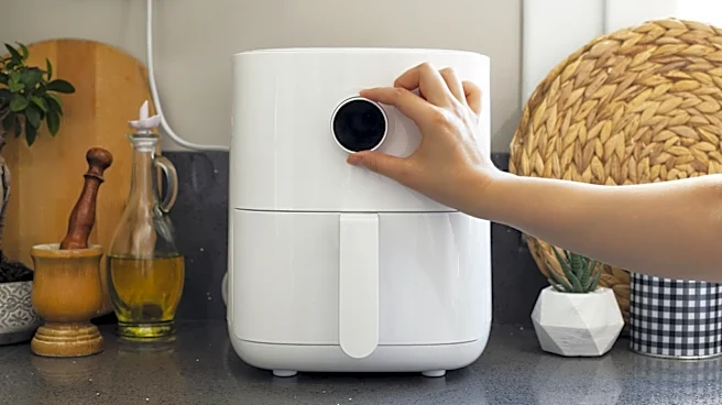 The Costco Kirkland Signature Item Perfect For Your Air Fryer