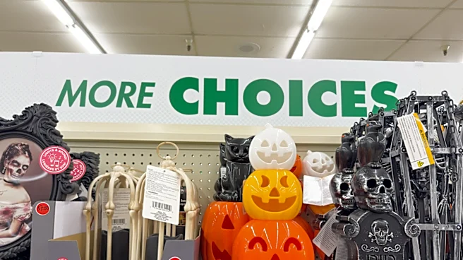 The 14 Best Dollar Tree Seasonal Items Of 2026 So Far