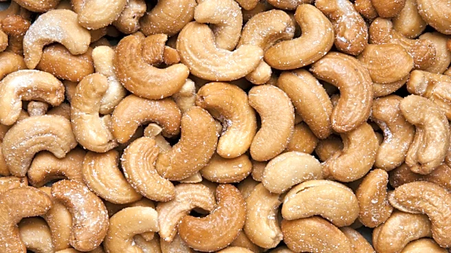 What's The Difference Between Costco's Black Label And Classic Kirkland Signature Cashews?