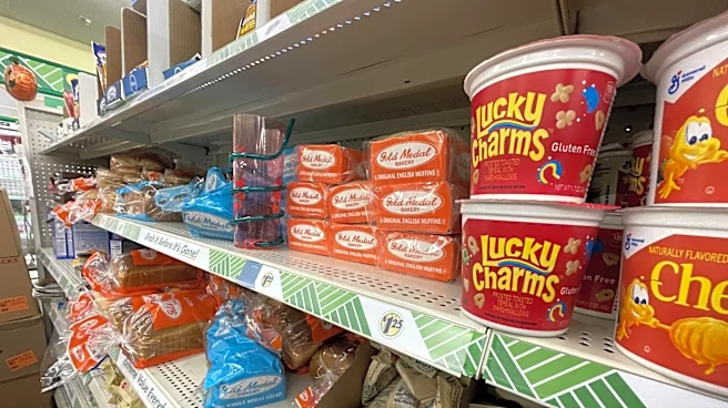 The 11 Best Dollar Tree Breakfast Items Of 2026 (So Far)