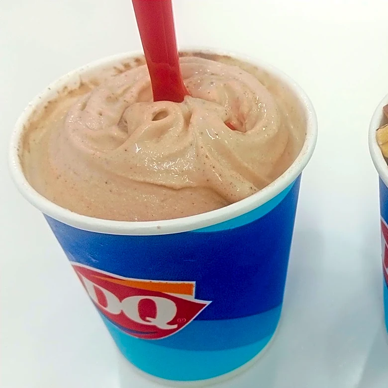 5 Ordering Tips To Get The Best Dairy Queen Blizzard
