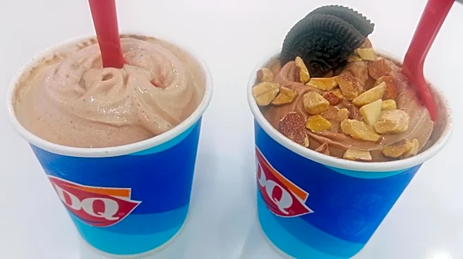 5 Ordering Tips To Get The Best Dairy Queen Blizzard